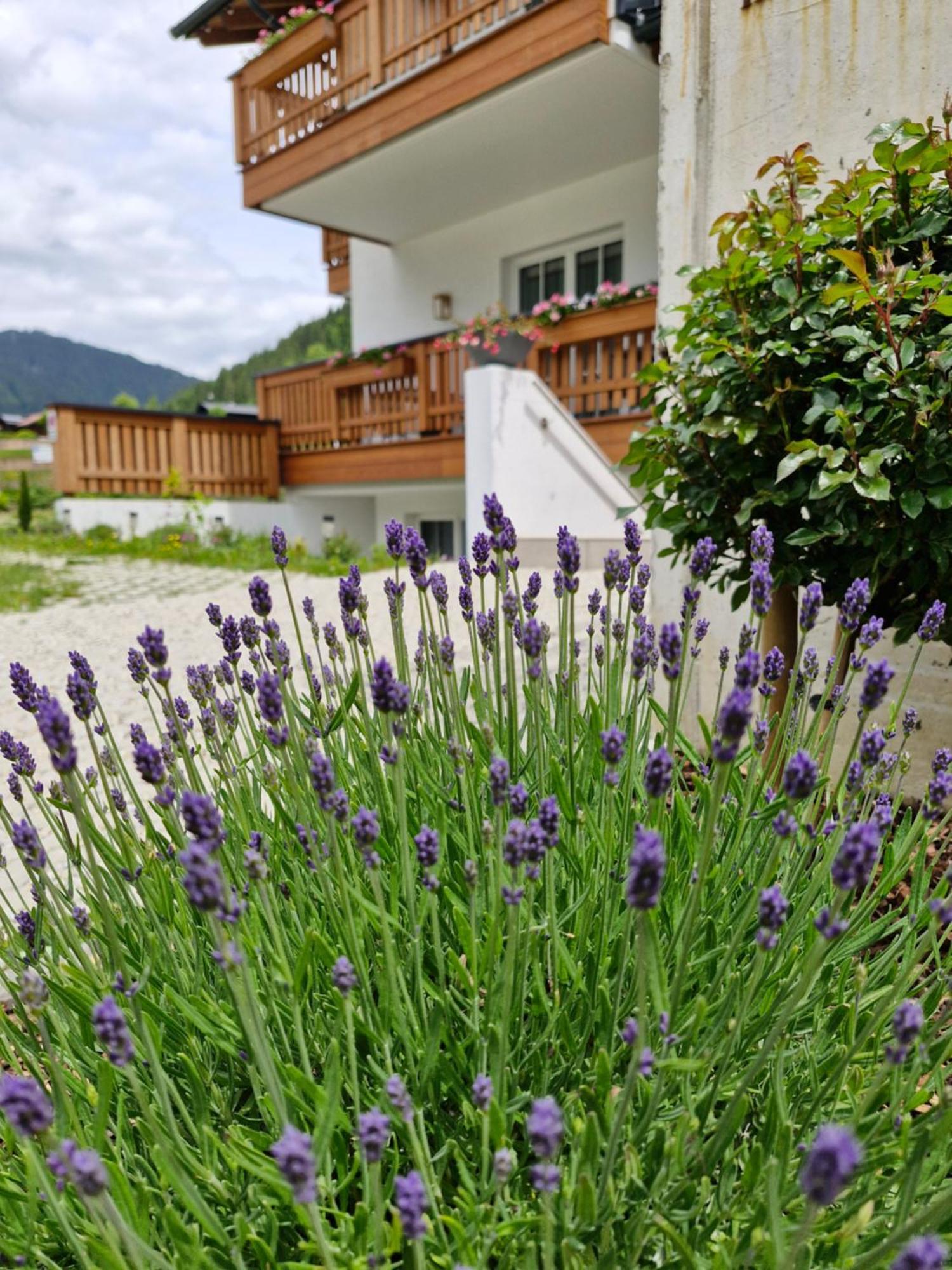 Feine Bleibe Apartment Eben Im Pongau Exterior photo